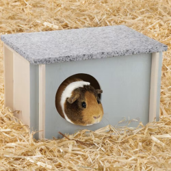 Beeztees Kle Marsvin hus Cico 26 x 18 x 16 cm.